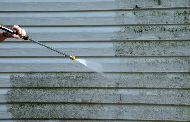 Best Driveway Pressure Washing  in Dellwood, MO